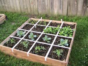 square foot garden bed